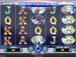 Penguin Palooza Slots